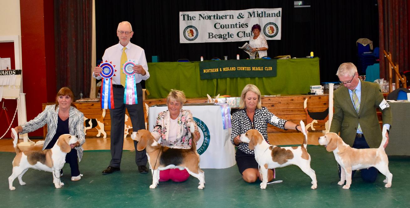 Northern & Midland Counties Beagle Club